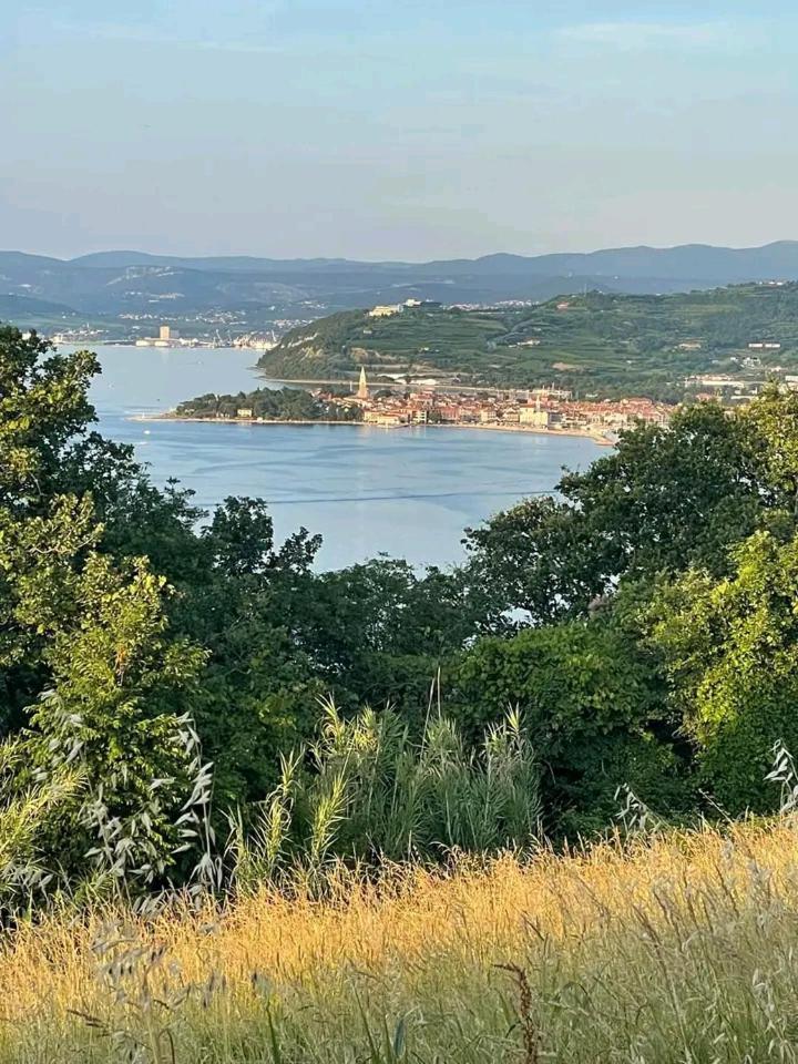 Vanilla Izola Kültér fotó